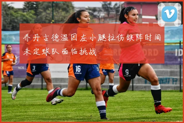 乔丹古德温因左小腿拉伤缺阵时间未定球队面临挑战