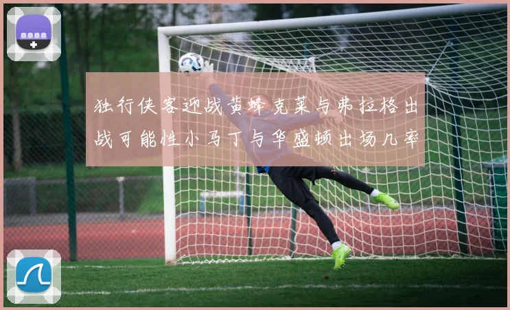 独行侠客迎战黄蜂克莱与弗拉格出战可能性小马丁与华盛顿出场几率高