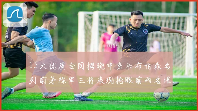 15大优质合同揭晓申京和布伦森名列前茅绿军三将表现抢眼前两名堪称传奇