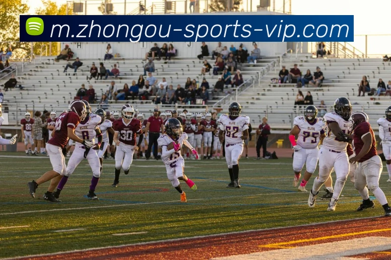 中欧体育平台生态图